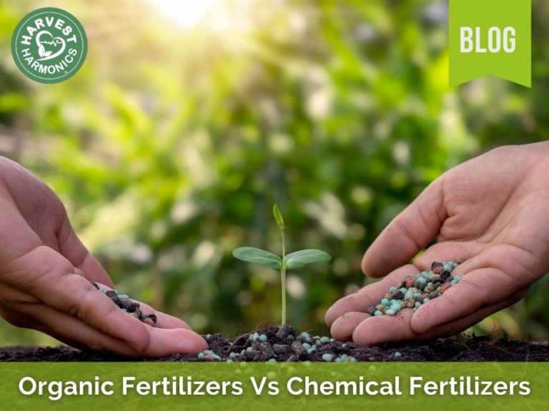 Organic Fertilizers Vs Chemical Fertilizers - Harvest Harmonics