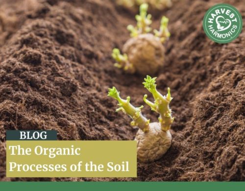 The Organic Processes of the Soil