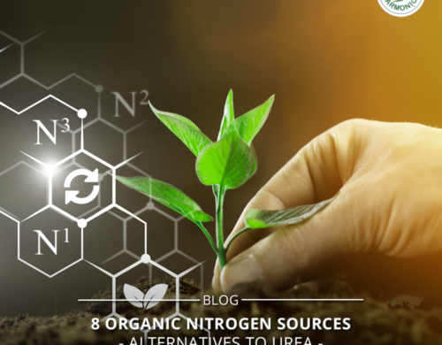 7 Organic Nitrogen Sources – Alternatives to Urea