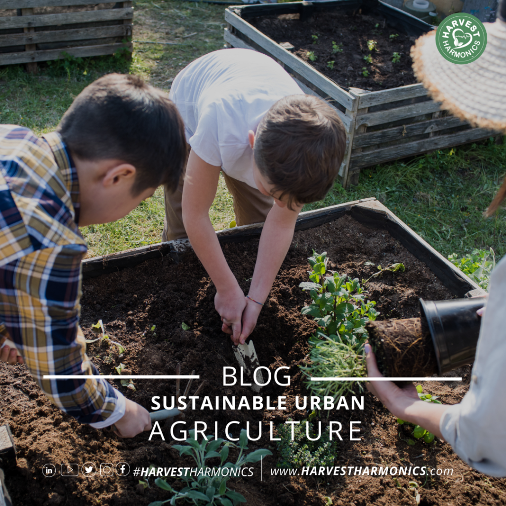 Sustainable Urban Agriculture - Harvest Harmonics