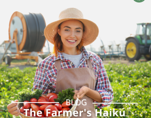 The Farmer’s Haiku