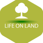 SDG life on land