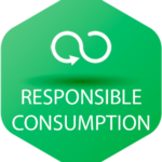 SDG responsible consumption